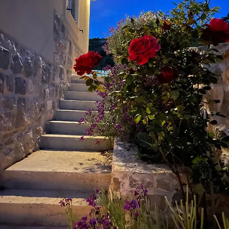 Kovaceva Bay Villa Tkon