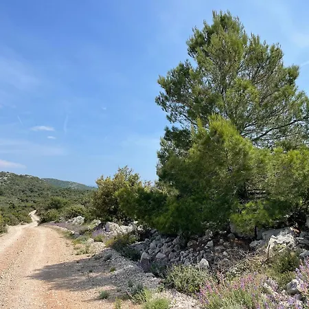 Kovaceva Bay Villa *