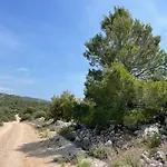 Kovaceva Bay فيلة *