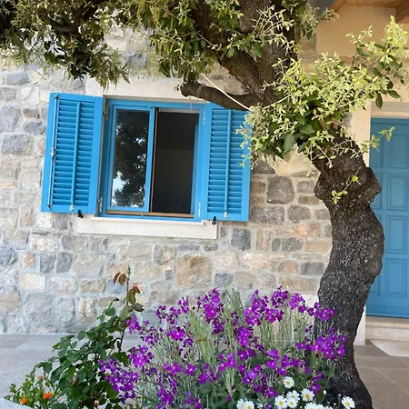 Villa Kovaceva Bay Tkon