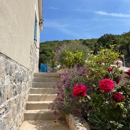 Kovaceva Bay فيلة *