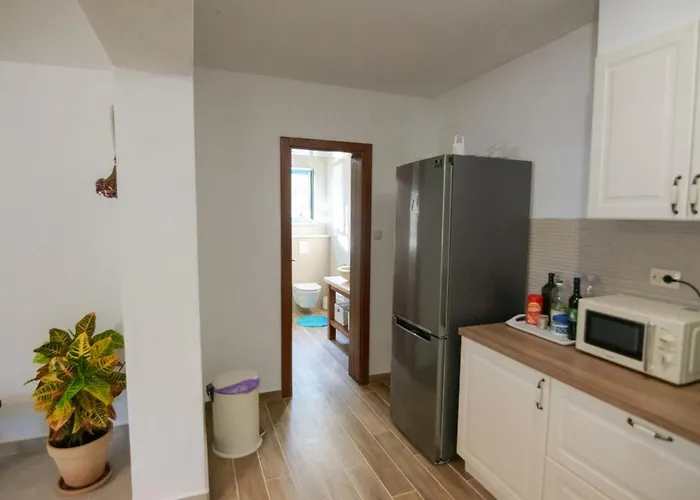 فيلة Kovaceva Bay تكون