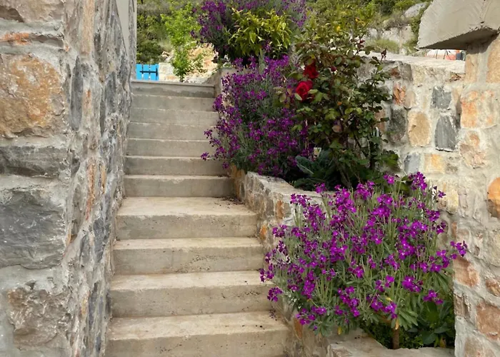 فيلة Kovaceva Bay