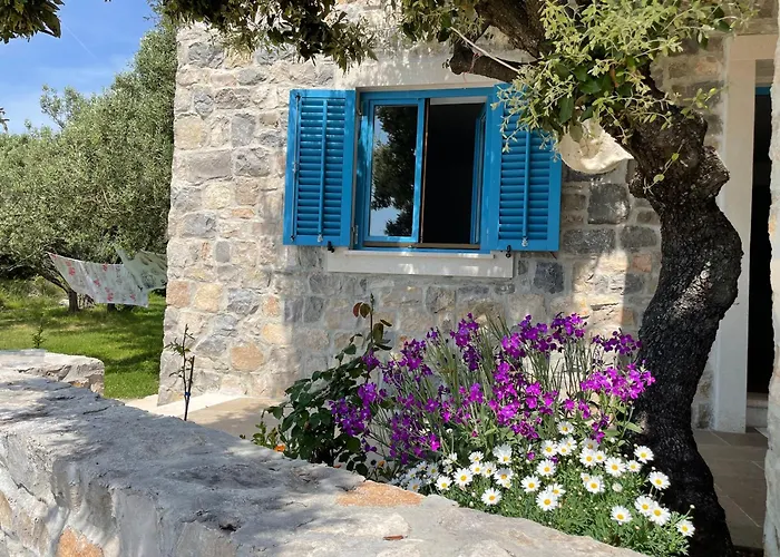 فيلة Kovaceva Bay