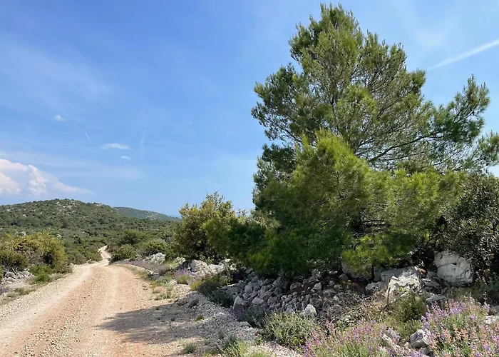 Kovaceva Bay فيلة *