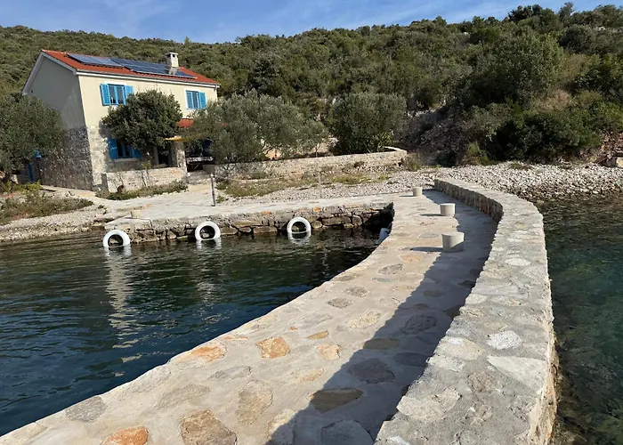 Kovaceva Bay تكون