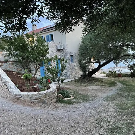 Kovaceva Bay * Tkon